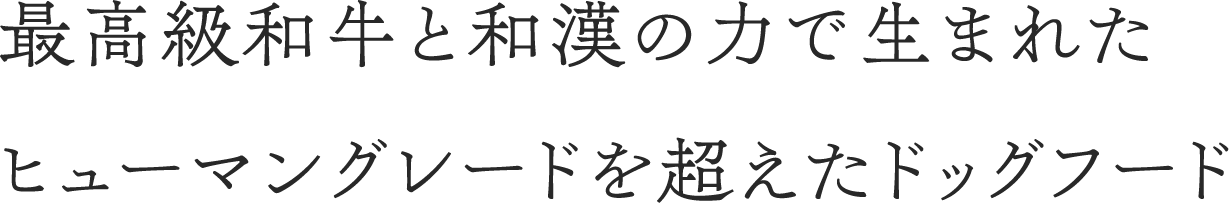 最高級和牛と和漢の力で生まれたヒューマングレードを超えたドッグフード