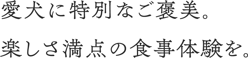 愛犬に特別なご褒美。楽しさ満点の食事体験を。